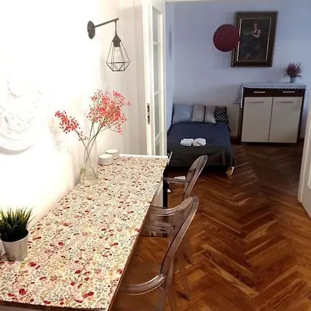 Old Praga Wi-fi 300mb Apartment